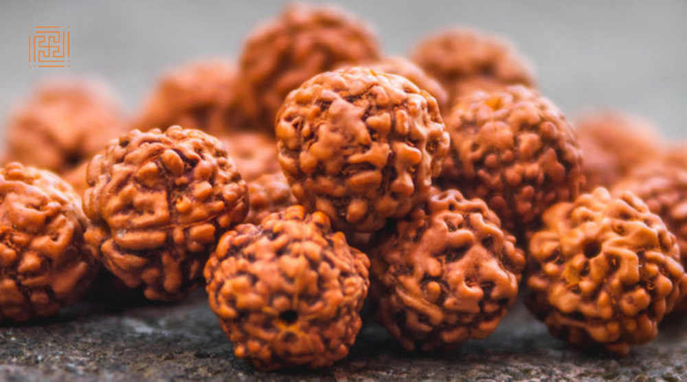 Can You Eat Non-Veg While Wearing Rudraksha? Explained