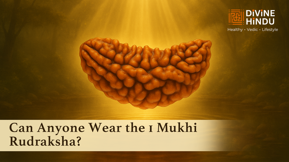 Can Anyone Wear the 1 Mukhi Rudraksha? Benefits & Rules