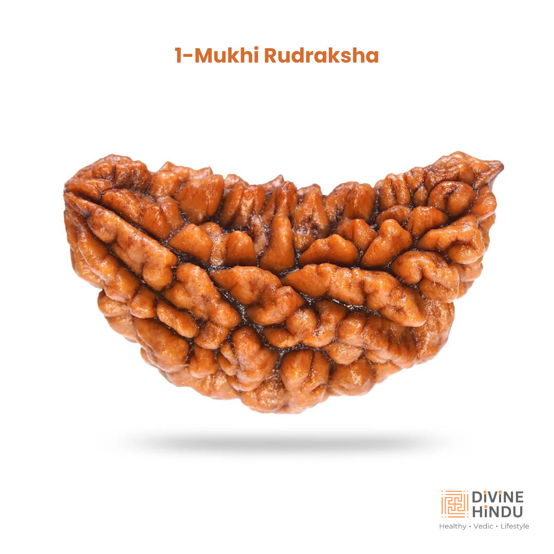 Buy Mukhi Rudraksha Online for Spiritual Growth Divine Hindu
