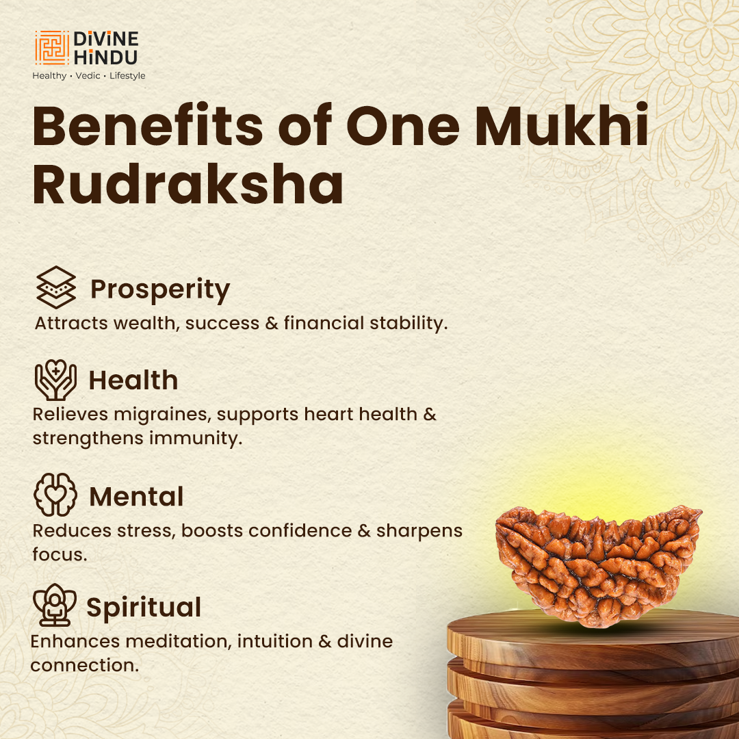 1 Mukhi Rudraksha (Chandrama) bead symbolising enlightenment and supreme consciousness | Benefits of 1 Mukhi Rudraksha