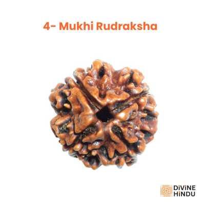 4 Mukhi Rudraksha, bead linked to Lord Brahma, enhancing creativity and knowledge.