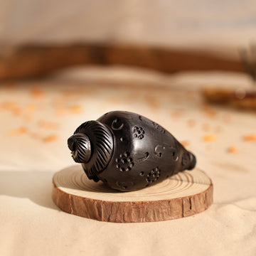 Divine Hindu Karungali Shankh For Pooja