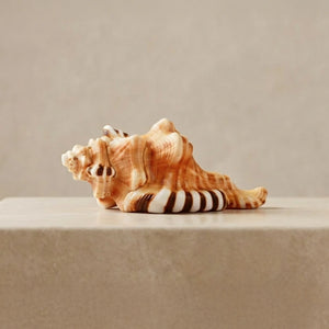 Divine Hindu Ganesh Shankh