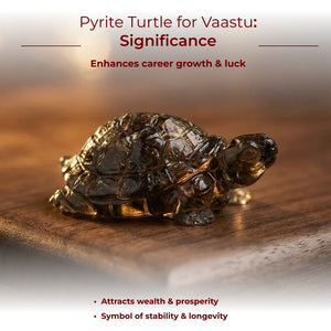 Pyrite Turtle for Vaastu