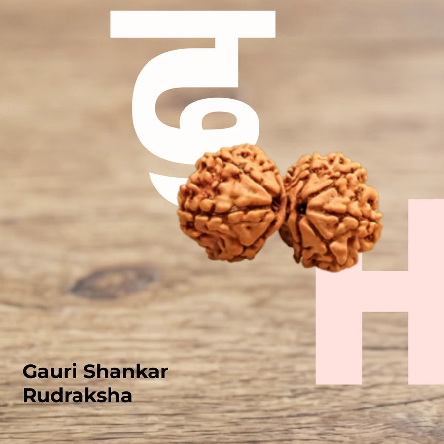Gauri Shankar Rudraksha