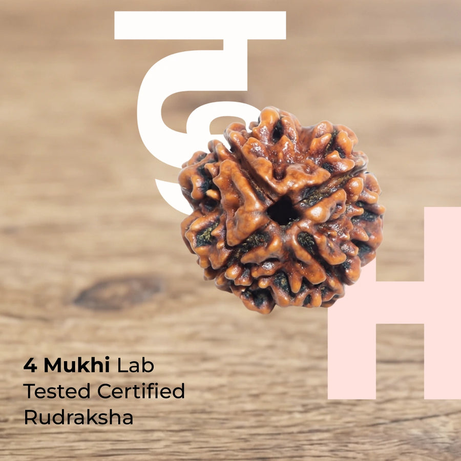 4 Mukhi Lab Tested Certified Nepali Rudraksha