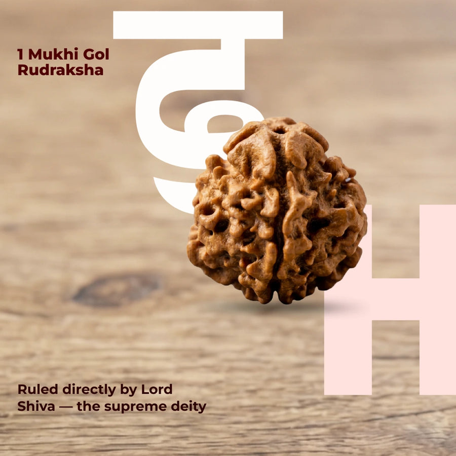 1 mukhi Gol Rudraksha