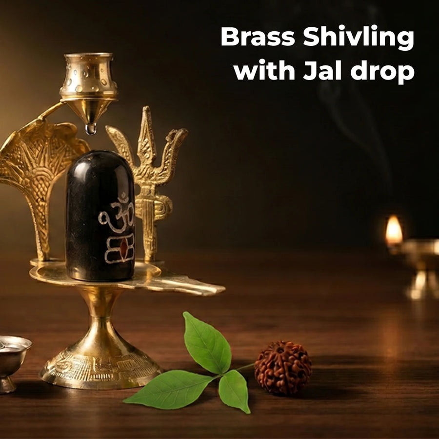 Brass Shivling with Jal drop