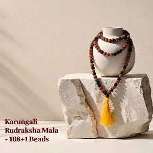 Karungali Rudraksha Mala - 108+1 Beads