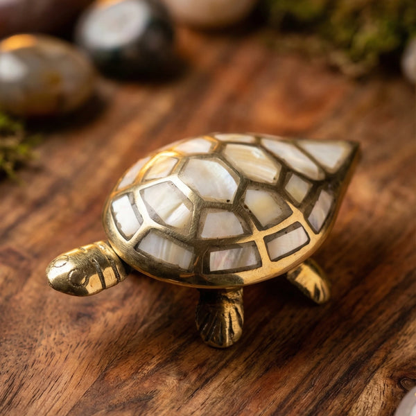 Feng Shui Wealth & Prosperity Brass Turtle