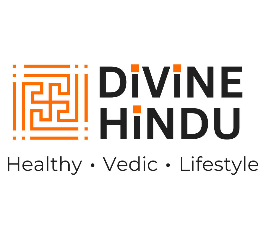Divine Hindu logo