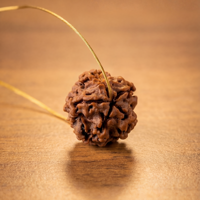 1 mukhi Gol Rudraksha