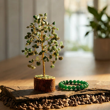 Green Jade Crystal Tree and Green Jade Bracelet Combo for Prosperity and Harmony
