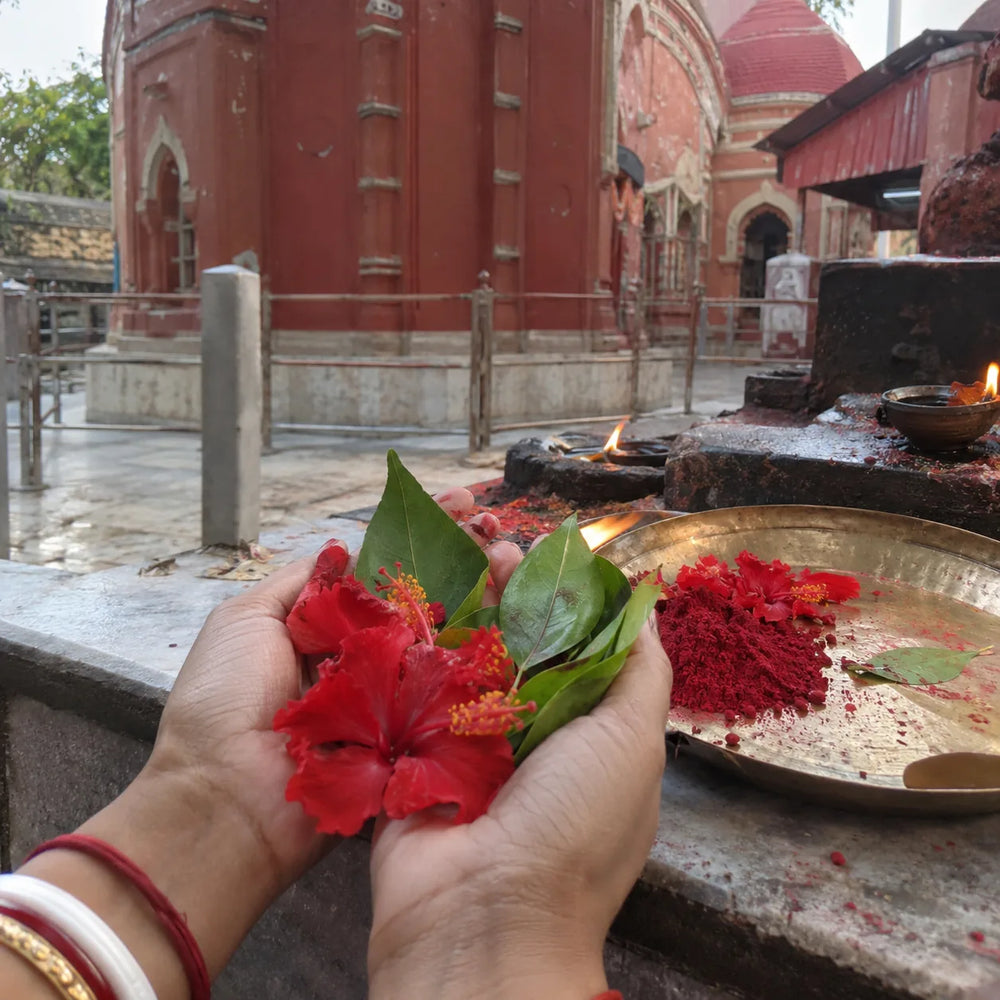 Anjali & Flower Offering — Maa Tara, Tarapith