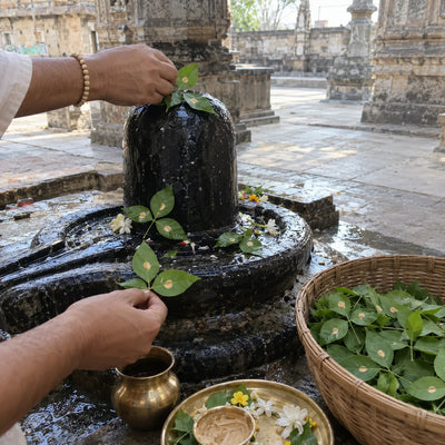 Fresh bilva leaves offered on a Shivling, with a basket of leaves beside it