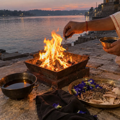 Black sesame offered into a havan fire with sesame oil and blue flowers for a shanti havan