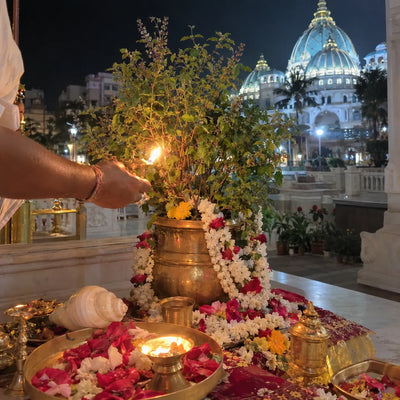 A ghee lamp offered to a garlanded tulasi plant on Janmashtami night