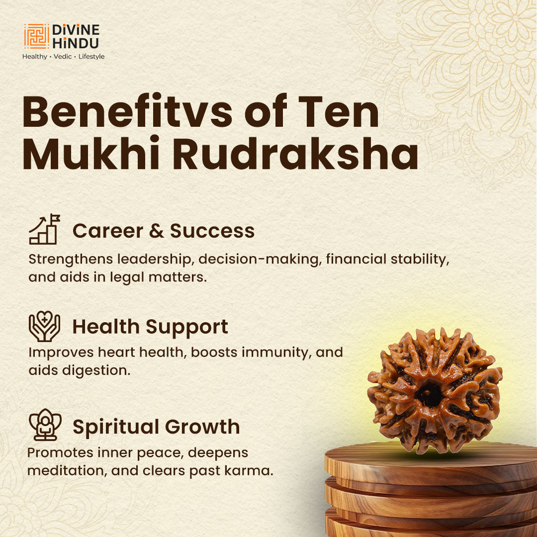 10 Mukhi Rudraksha | Rudraksha 10 Mukhi | Benefits of 10 Mukhi Rudraksha