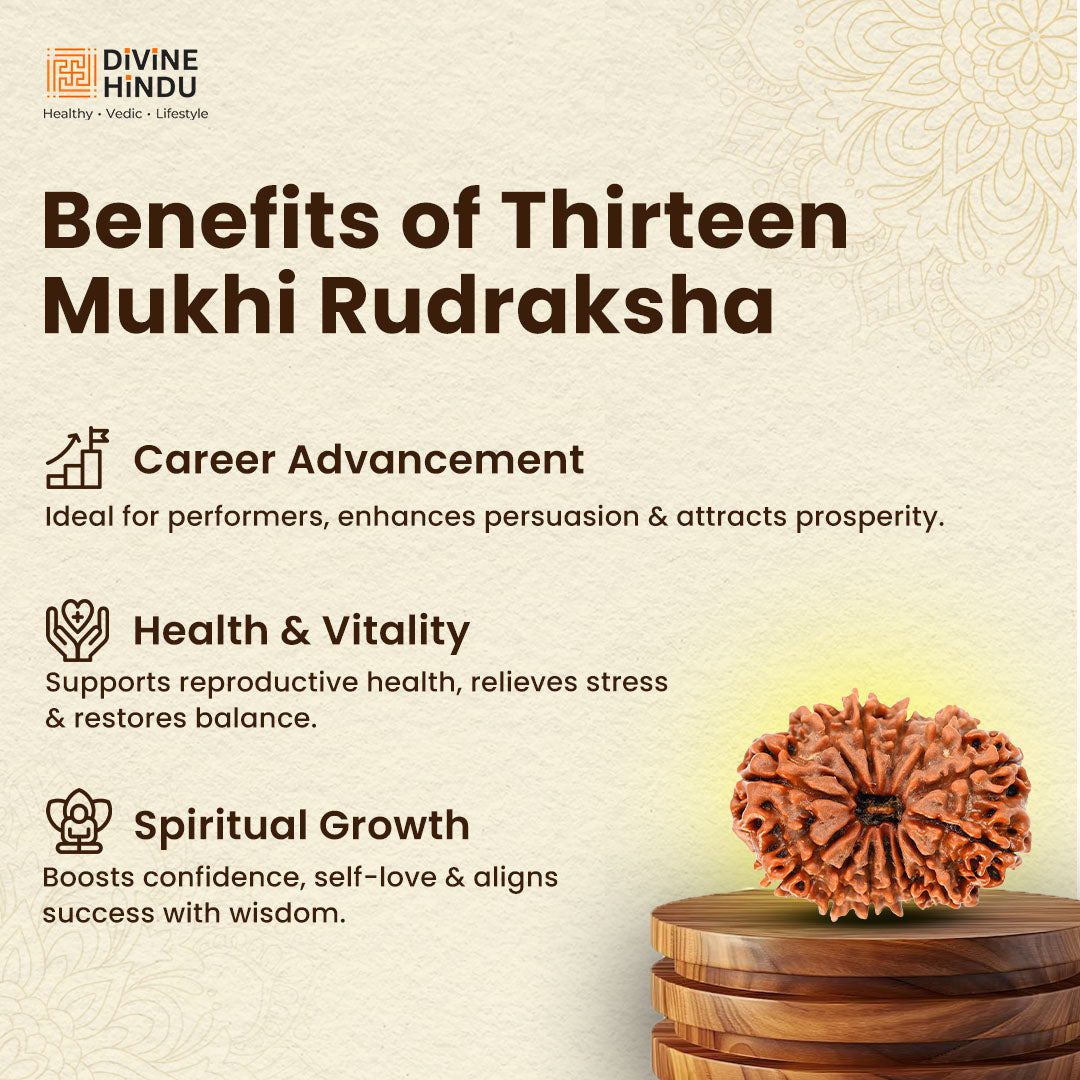 13 Mukhi Rudraksha | Benefits of 13 Mukhi Rudraksha