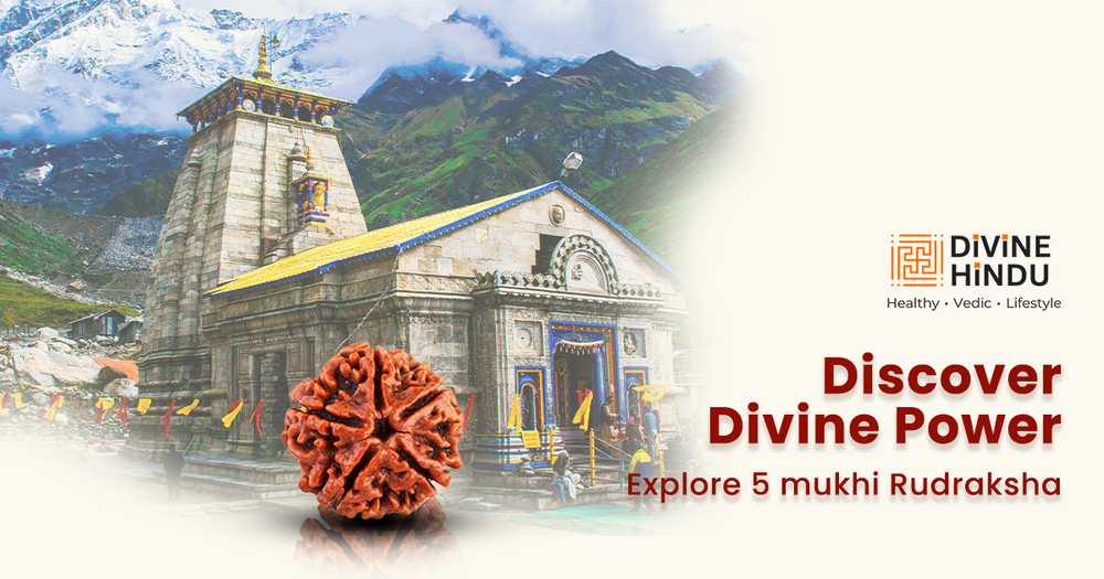 5 Mukhi Rudraksha: Benefits, Price & Wearing Rules