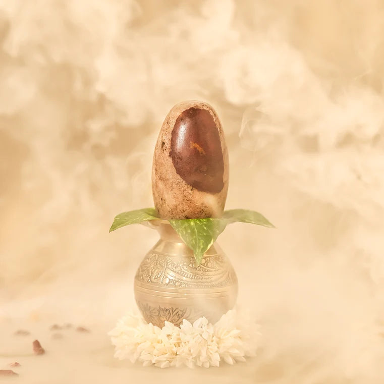 Narmadeshwar Shivling from Divine Hindu