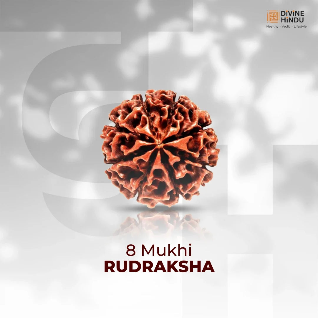 8 Mukhi Rudraksha bead from Divine Hindu