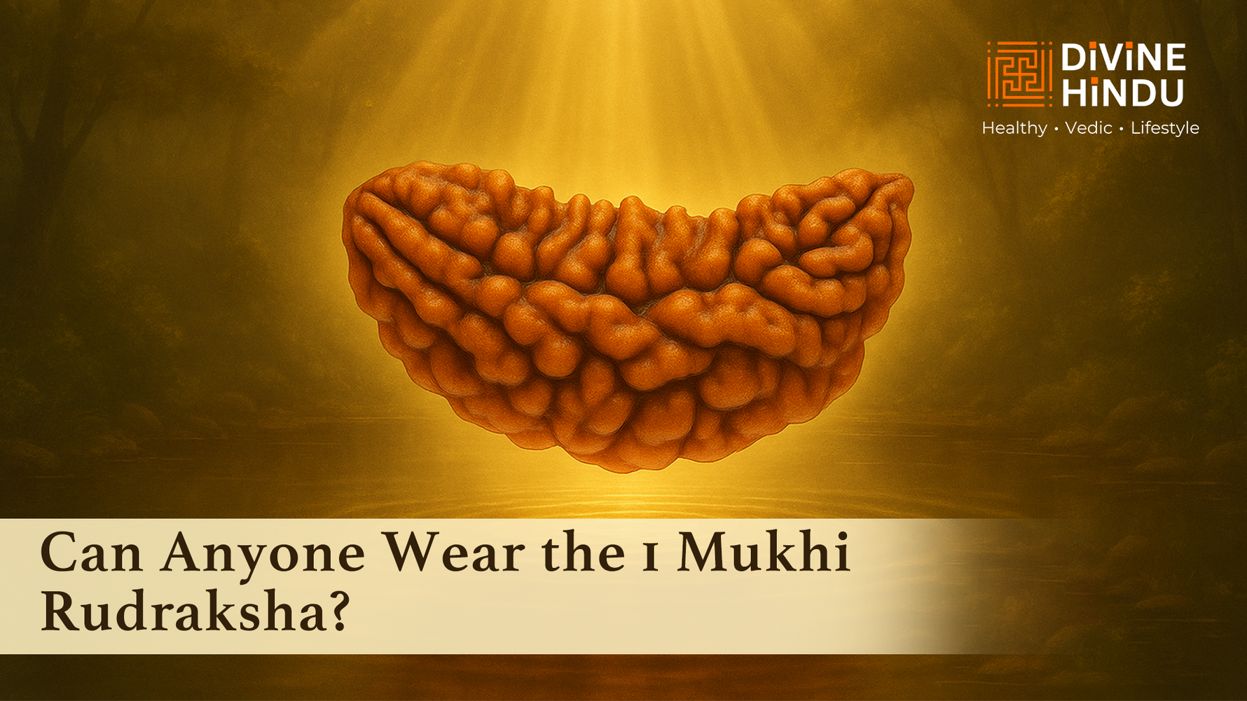Can Anyone Wear the 1 Mukhi Rudraksha?