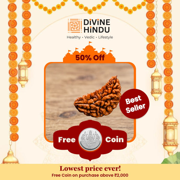 1 Mukhi Rudraksha bead close-up