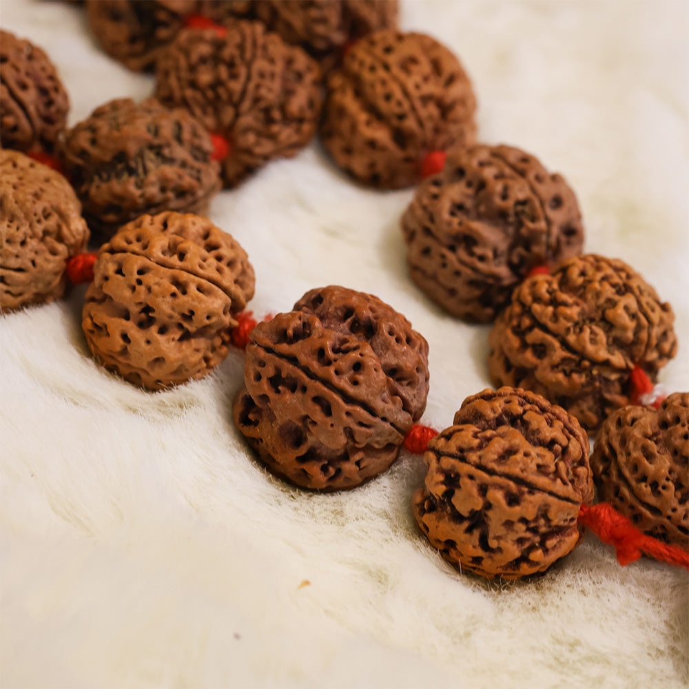 Original Nepali Rudraksha Mala beads