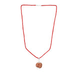 7 Mukhi Premium Rudraksha