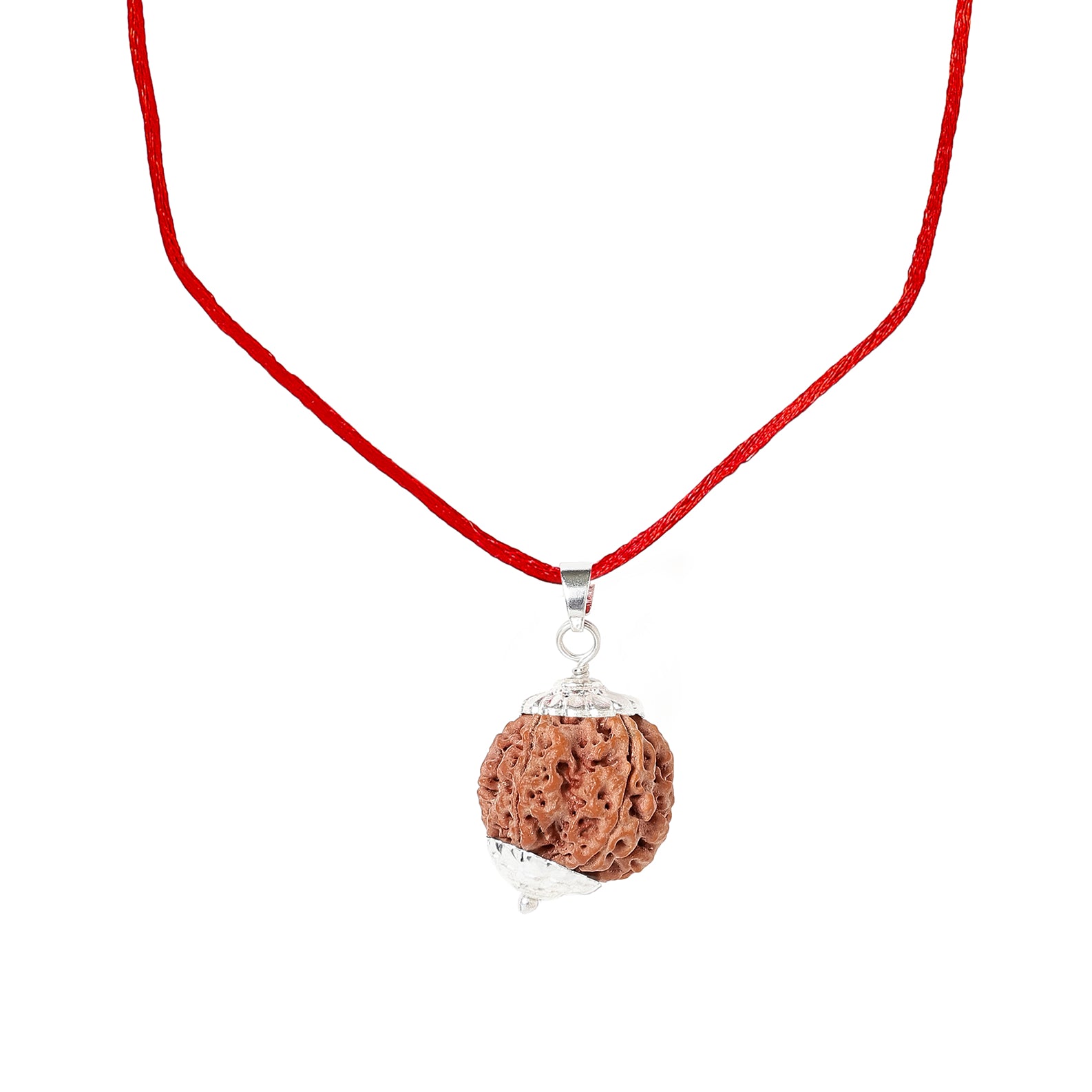 7 Mukhi Premium Rudraksha