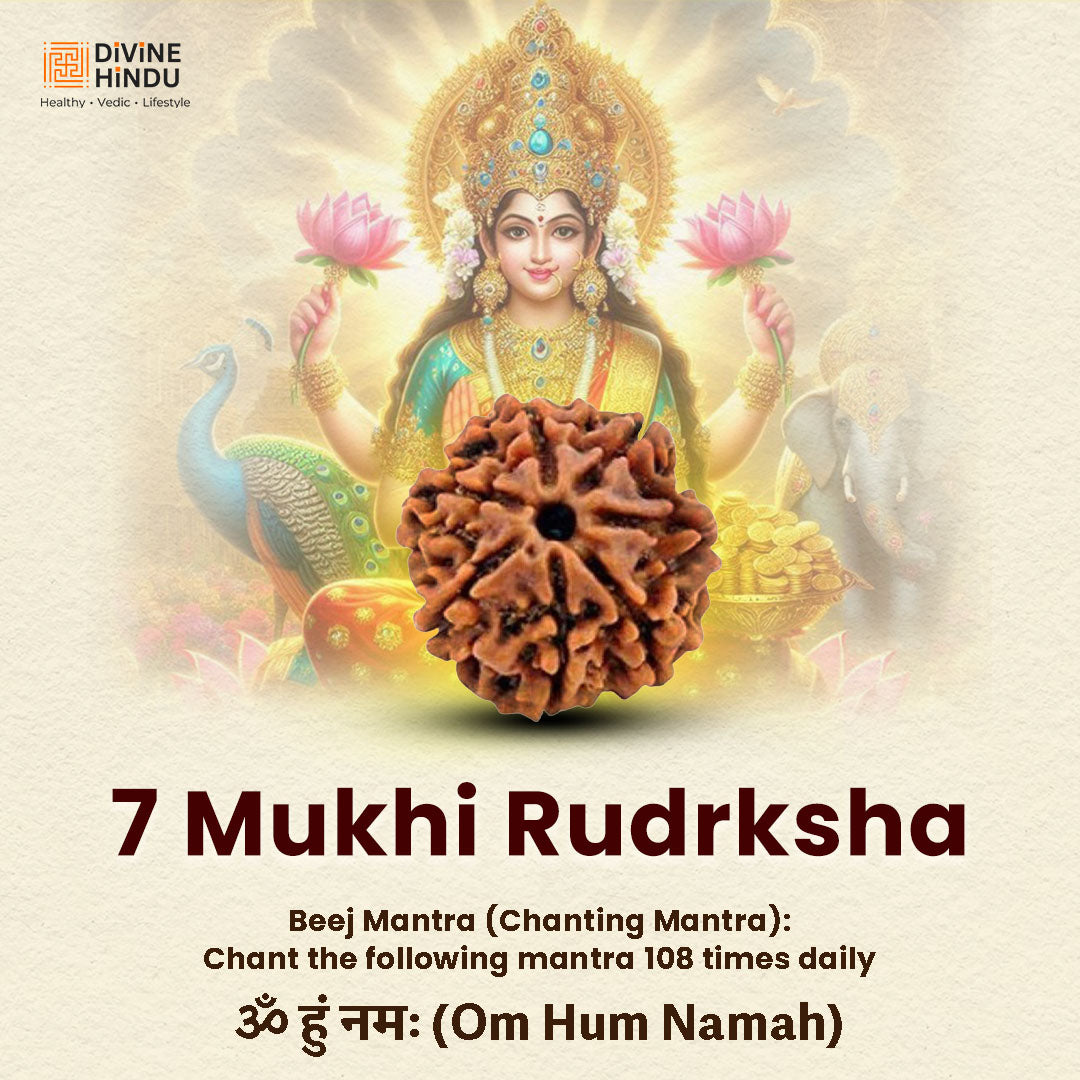 7 Mukhi Rudraksha | Beej Mantra 7 Mukhi 
