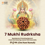 7 Mukhi Rudraksha | Beej Mantra 7 Mukhi 
