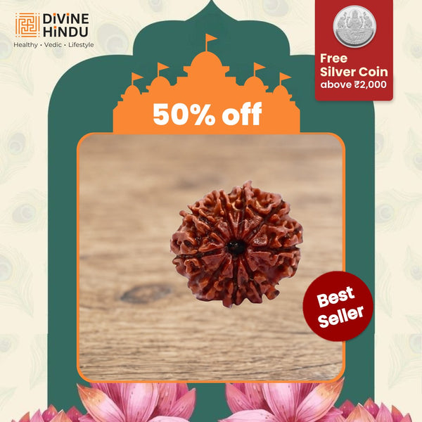 9 Mukhi Rudraksha bead close-up