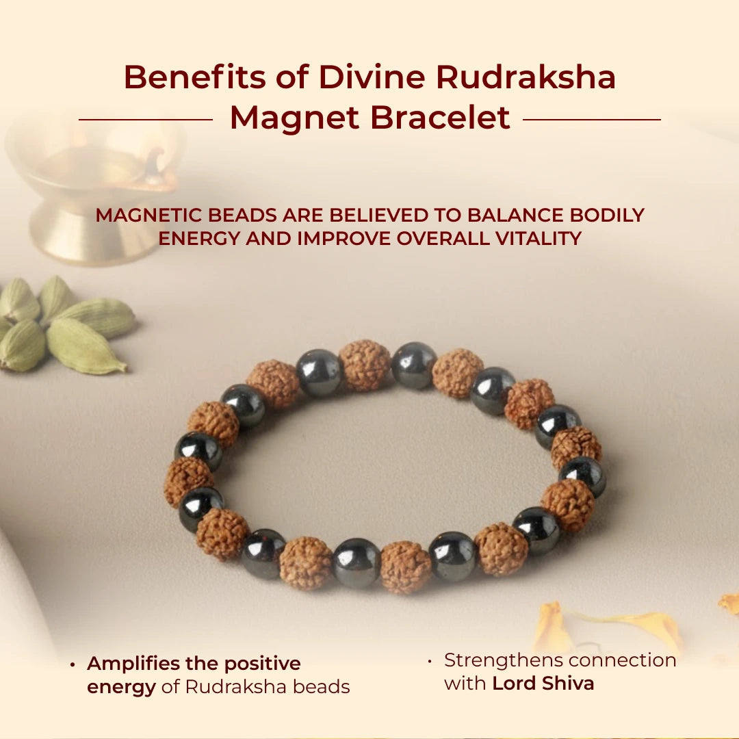 Divine Rudraksha Magnet Bracelet