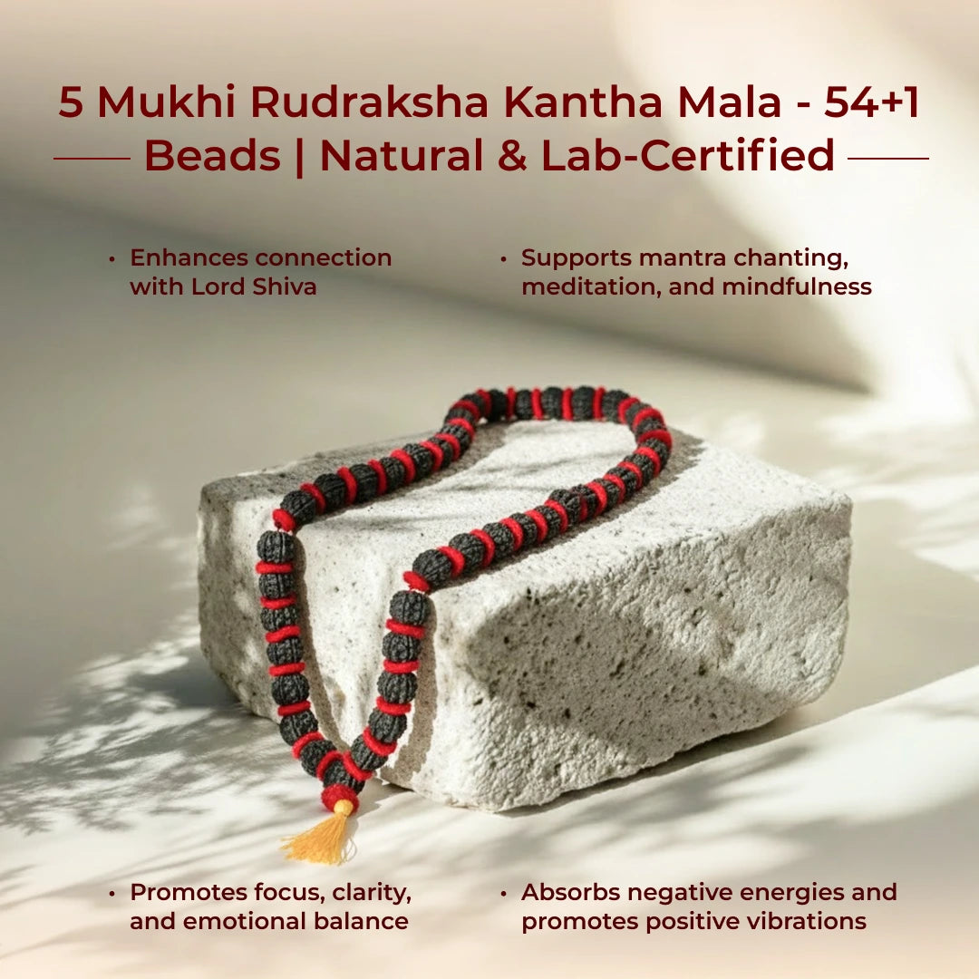 5 Mukhi Rudraksha Kantha Mala - 54+1 Beads | Natural & Lab-Certified