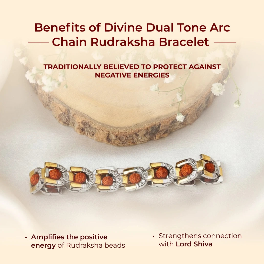 Divine Dual Tone Arc Chain Rudraksha Bracelet