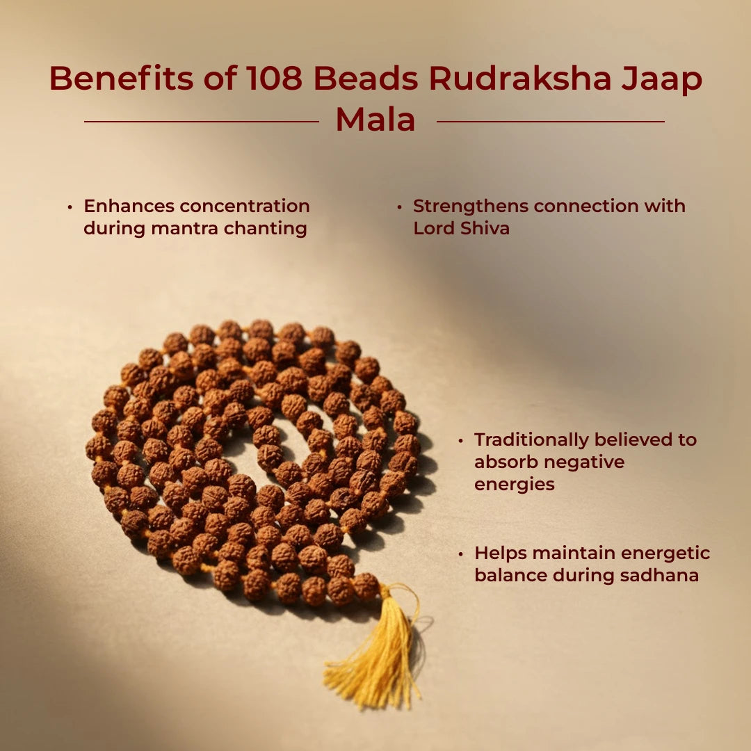 108 Beads Rudraksha Jaap Mala