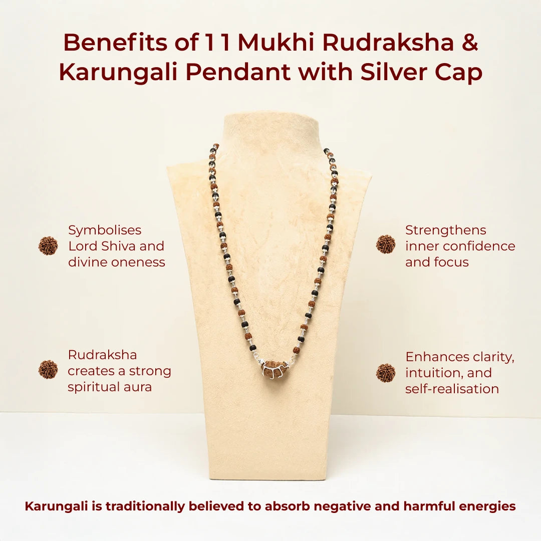 1 Mukhi Rudraksha & Karungali Pendant with Silver Cap