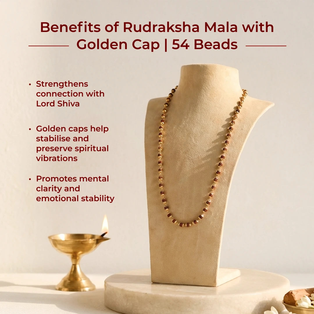 Rudraksha Mala with Golden Cap | 54 Beads