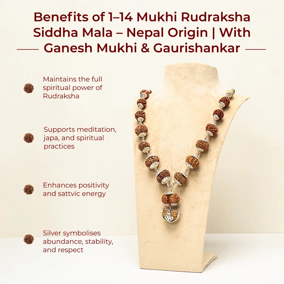 1–14 Mukhi Rudraksha Siddha Mala – Nepal Origin | With Ganesh Mukhi & Gaurishankar