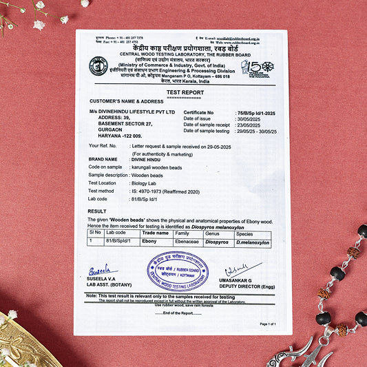 Rudraksha Karungali Mala in Silver-Cap with Shiv Trishul & Rudraksha Pendant