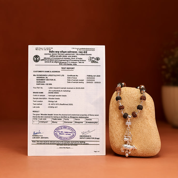 Rudraksha Karungali Malai in Silver-Cap with Shiv Trishul & Nandi Pendant