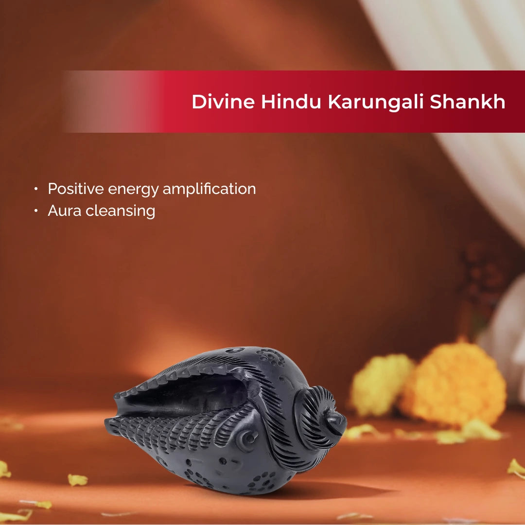 Divine Hindu Karungali Shankh For Pooja