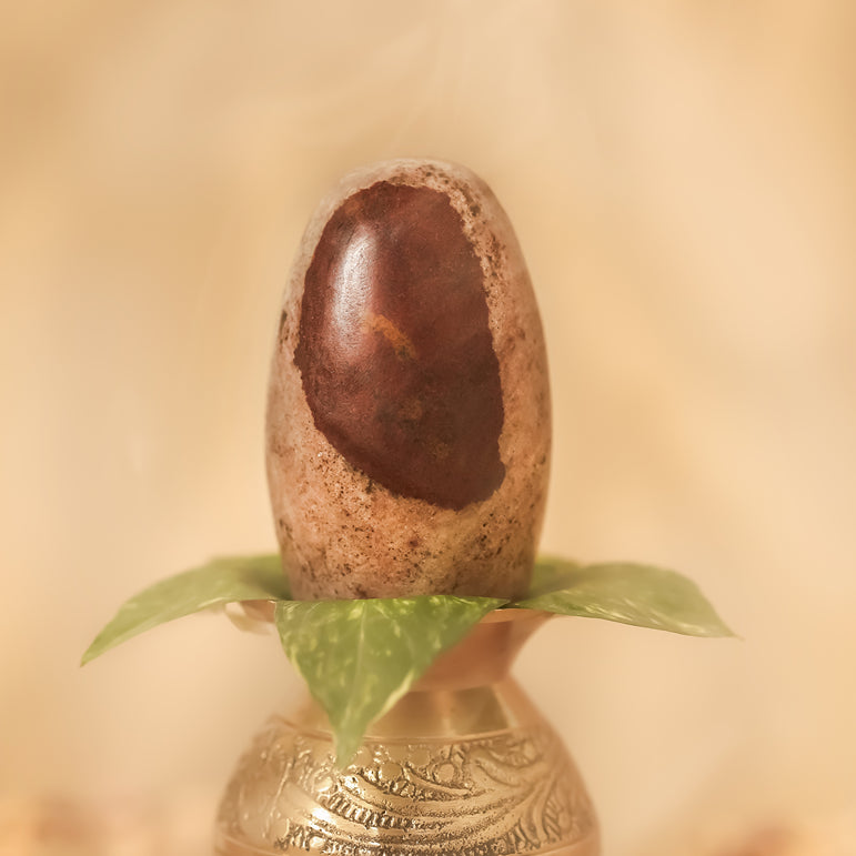 Original Narmadeshwar Shivling