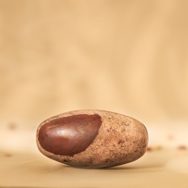 Original Narmadeshwar Shivling