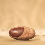 Original Narmadeshwar Shivling