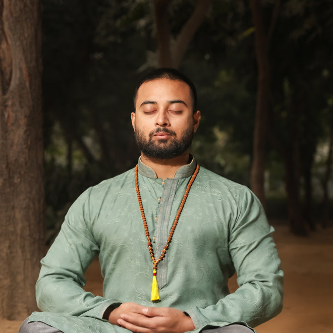 1 - 14 Mukhi Rudraksha Mala