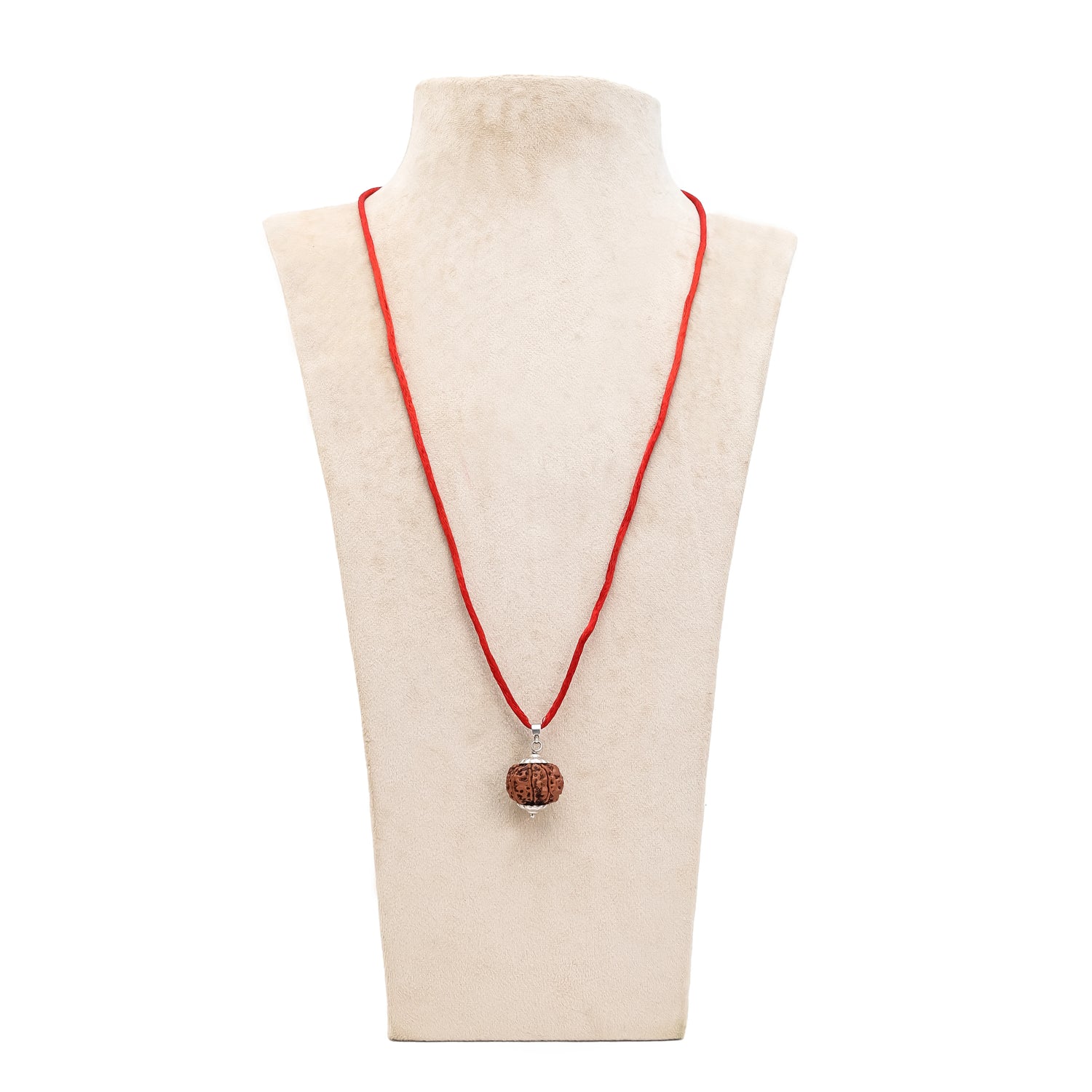 6 Mukhi Lab Tested Certified Nepali Rudraksha