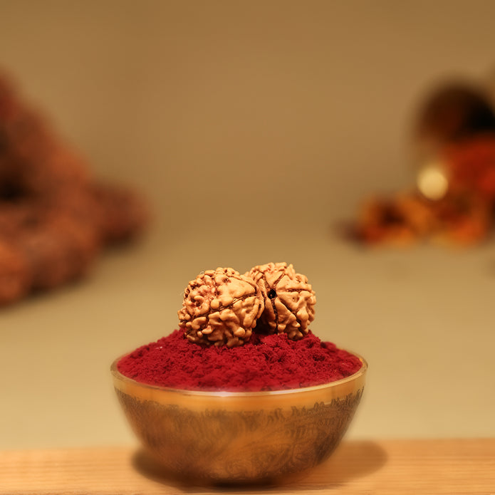 Gauri Shankar Rudraksha